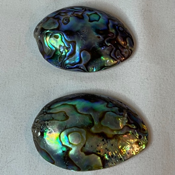 Gorgeous abalone shell blue turquoise shiny statement earrings! - Picture 5 of 7